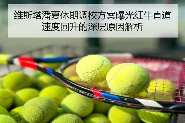 维斯塔潘夏休期调校方案曝光红牛直道速度回升的深层原因解析