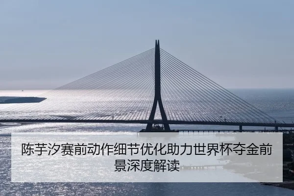 陈芋汐赛前动作细节优化助力世界杯夺金前景深度解读